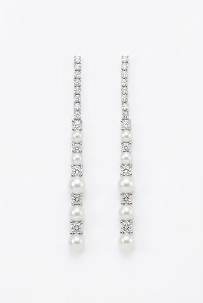 Luxury Earrings A96