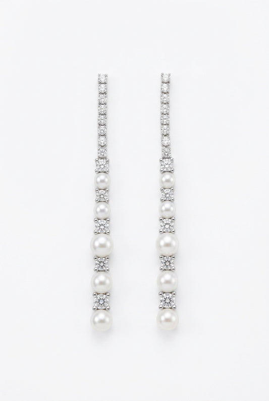 Luxury Earrings A96
