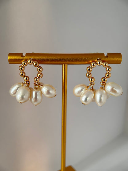 14K Gold plated Freshwater Pearls Earring Studs