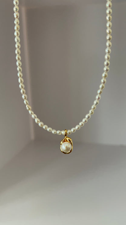 Small size Freshwater Pearls Necklace