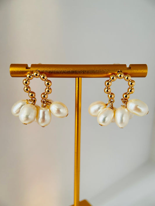 14K Gold plated Freshwater Pearls Earring Studs